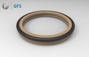 SED - WE5,B+S AD Customized PTFE PU Wiper Seal with O-ring 